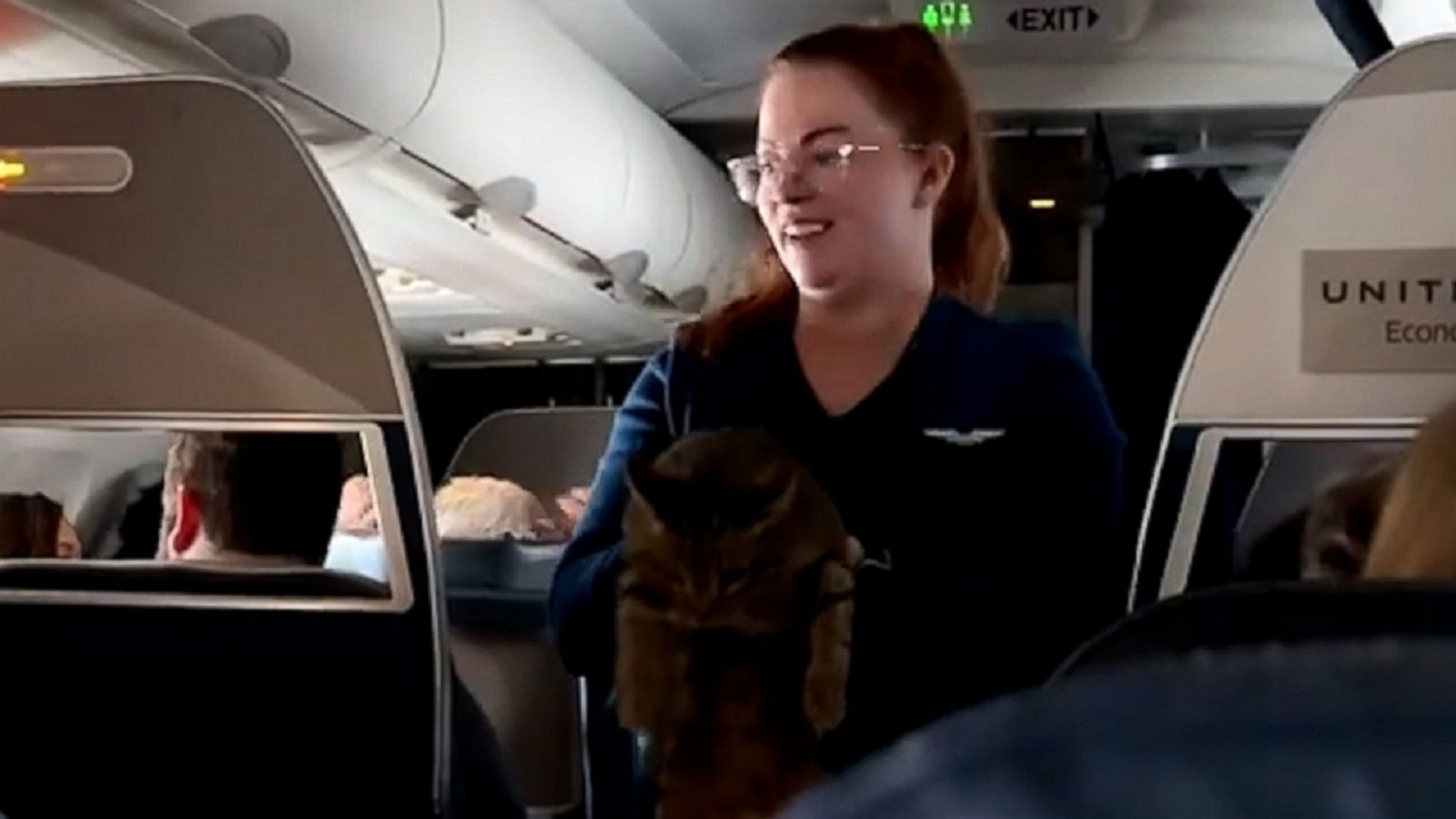 When is the last time you saw a cat roaming the aisle on your flight?