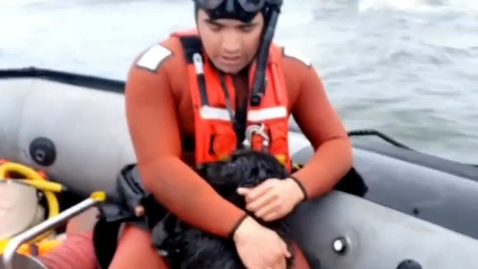VIDEO: Watch these devoted rescuers save a dog stranded on river rocks in Chile