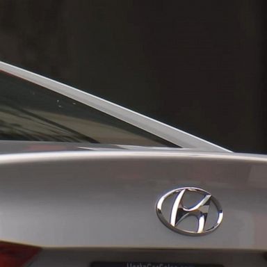 VIDEO: Insurers refuse to cover certain Hyundai, Kia models