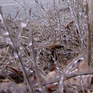 VIDEO: Millions face subzero temperatures