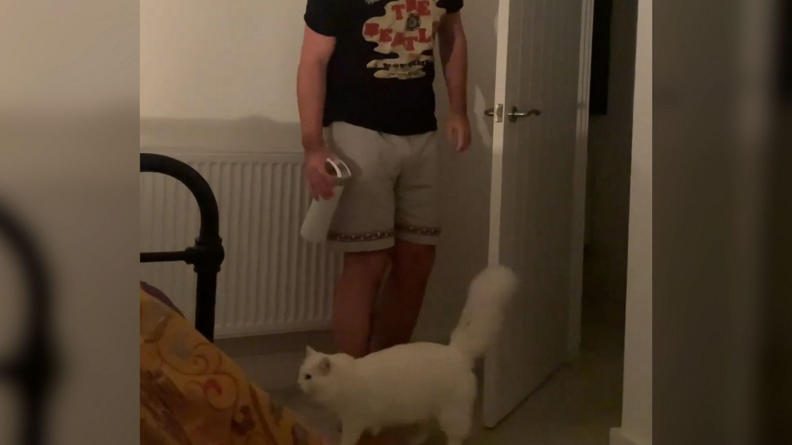 VIDEO: Listen to this cat wail loudly to get his owner's attention