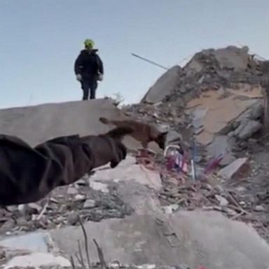 VIDEO: Earthquake death toll soars in Turkey and Syria