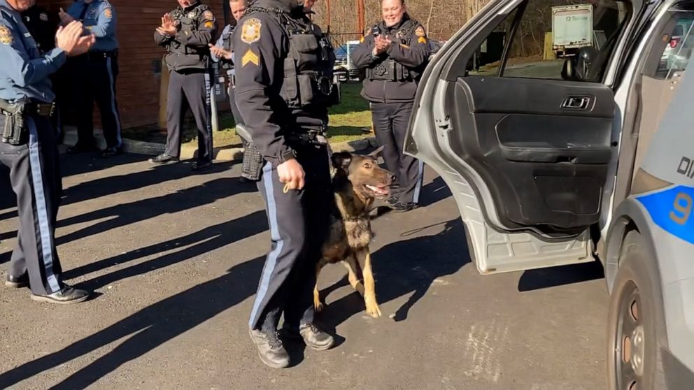 Retiring police dog gets standing ovation as he leaves department for ...