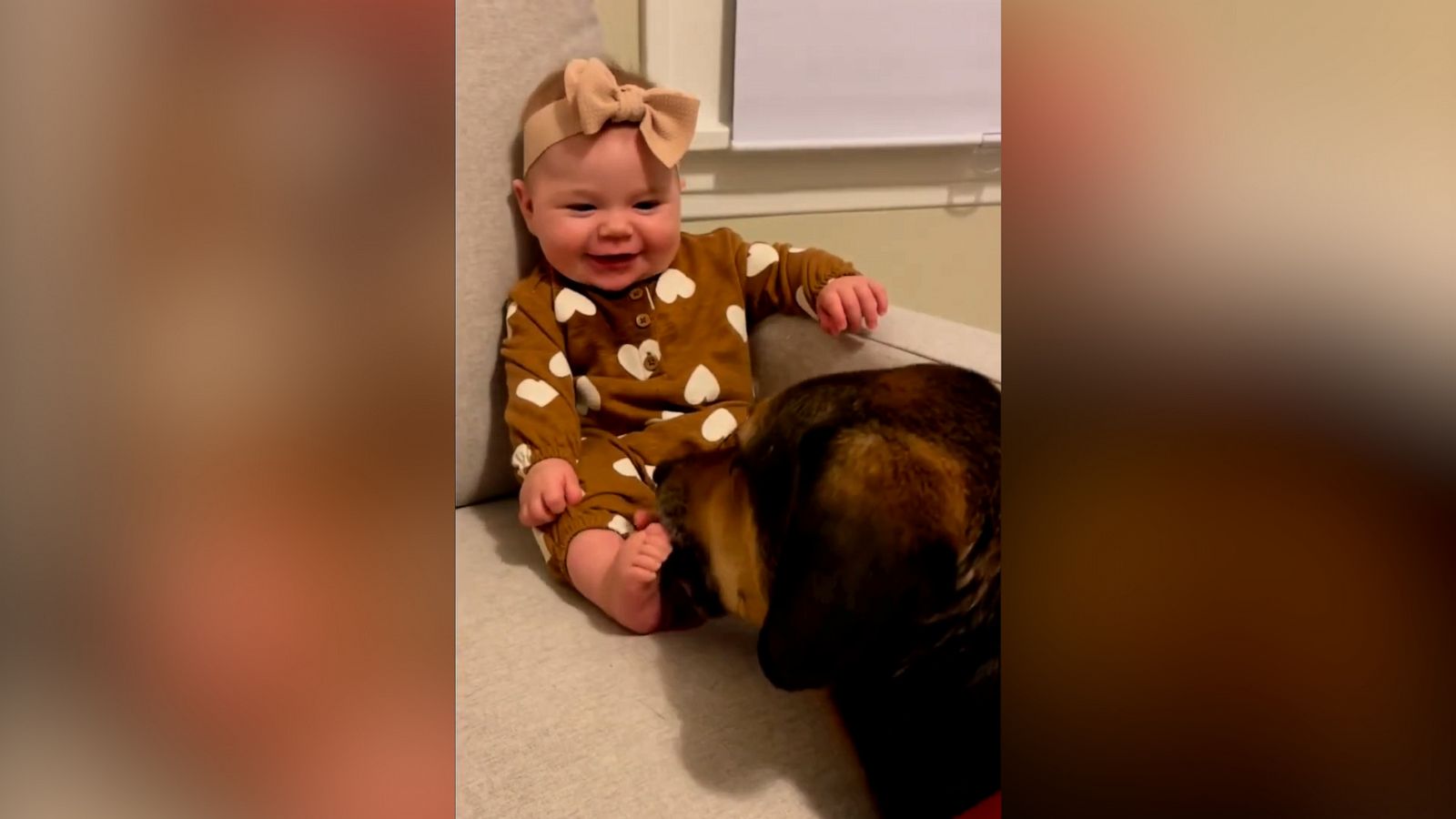 VIDEO: Watch this adorable video of a baby bonding with her furry pal