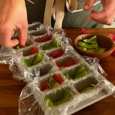 VIDEO: Make sushi in minutes with this ice tray hack