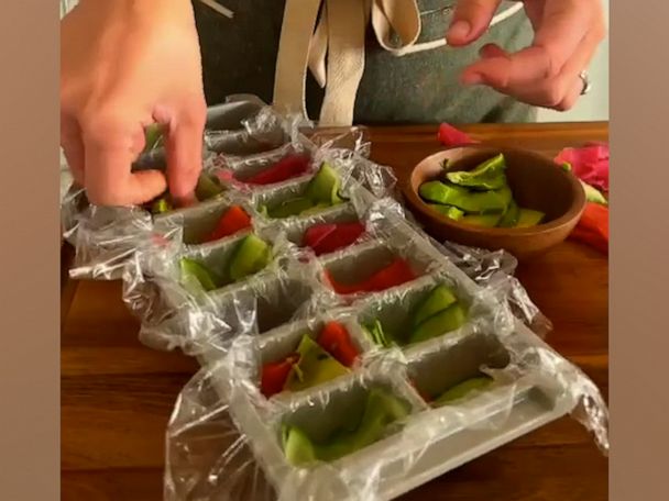 This ice tray hack makes homemade sushi a cinch - Good Morning America