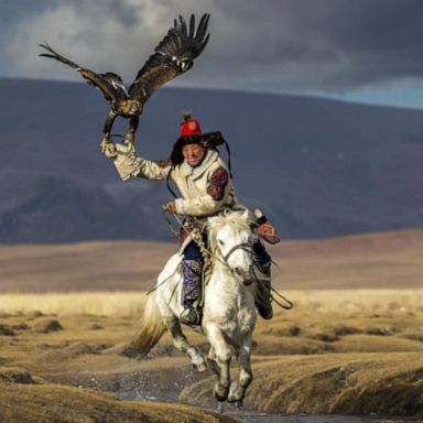 VIDEO: NatGeo reveals ‘Pictures of the Year’ winner