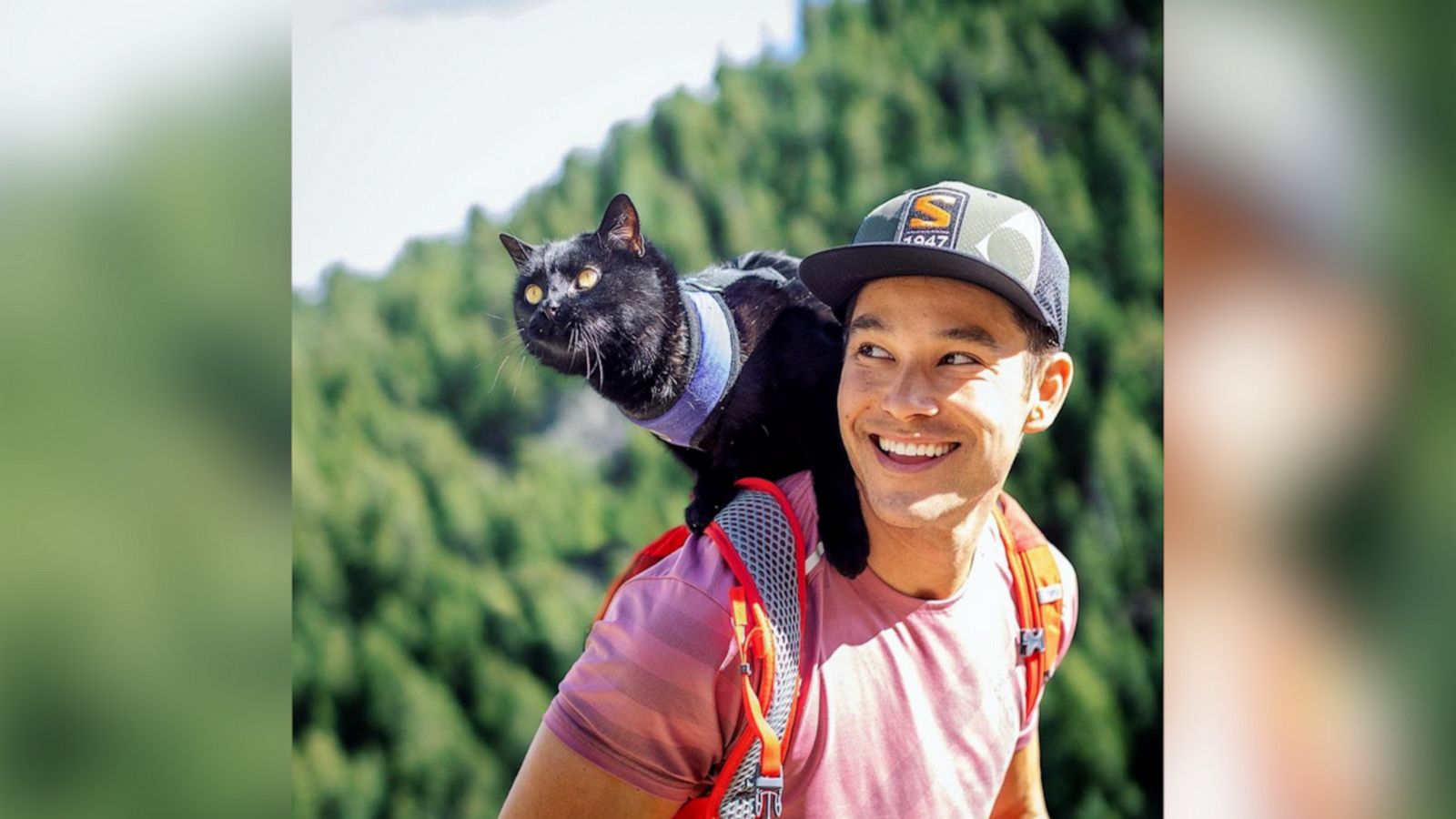 VIDEO: Adorable backpacking kitty loves adventuring with his dadv