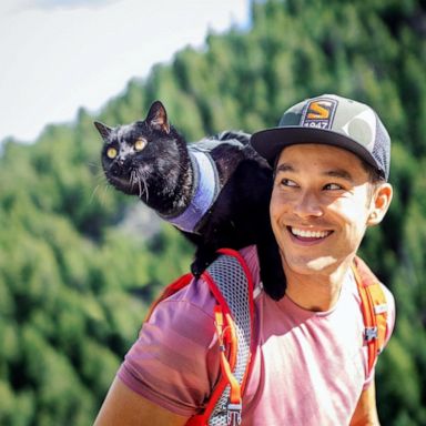 VIDEO: Adorable backpacking kitty loves adventuring with his dadv