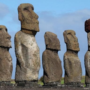 VIDEO: Ancient sculpture discovered on Easter Island