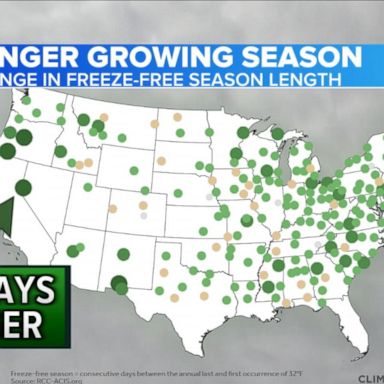 VIDEO: Allergy season getting longer across the US, according to report