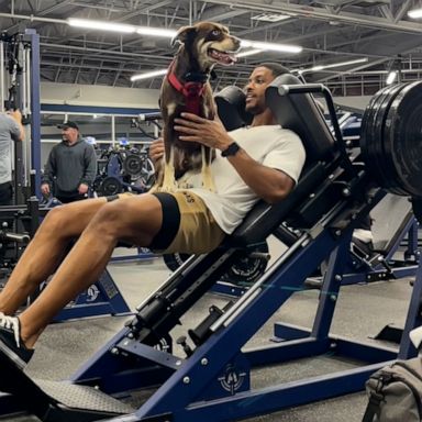 VIDEO: This fitness trainer's workout partner has four legs and is adorable