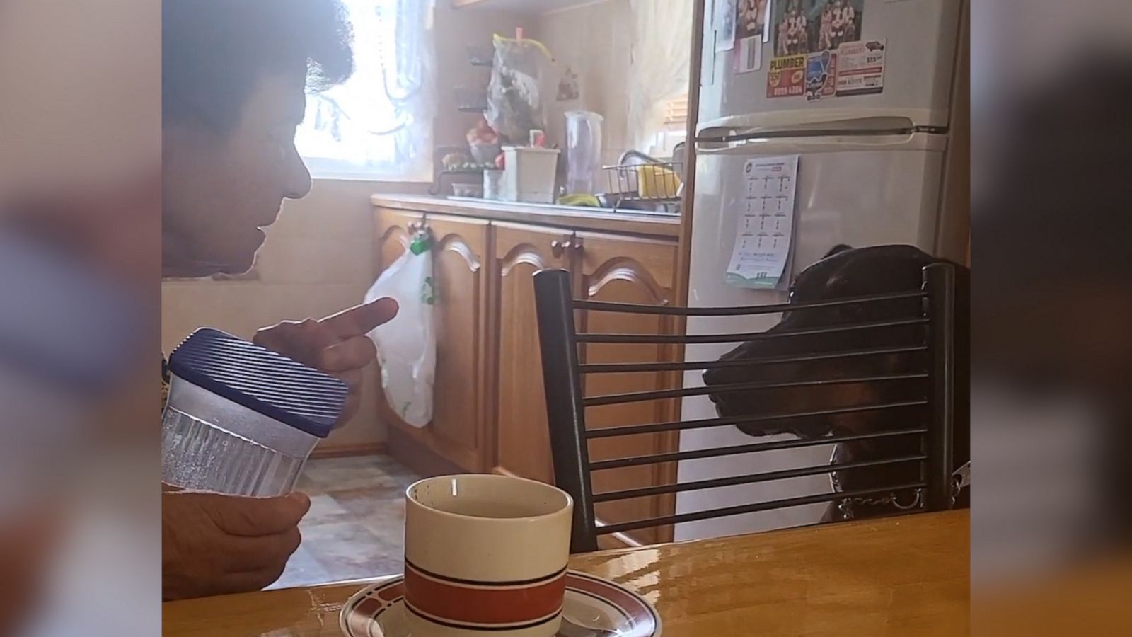 VIDEO: Dog gets an earful from grandma on why he can’t have sugar