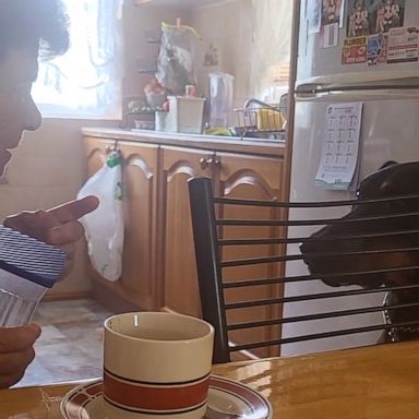 VIDEO: Dog gets an earful from grandma on why he can’t have sugar 