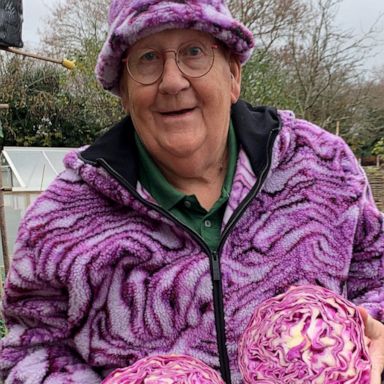 VIDEO: 74-year-old captures millions of hearts with ‘big veg’ from his garden 