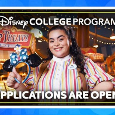 VIDEO: Apply to the Disney College Program for the summer