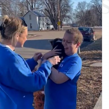 VIDEO: Make-A-Wish surprises child who has brain cancer with corgi puppy