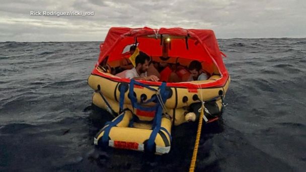 sailboat sinks after hitting whale