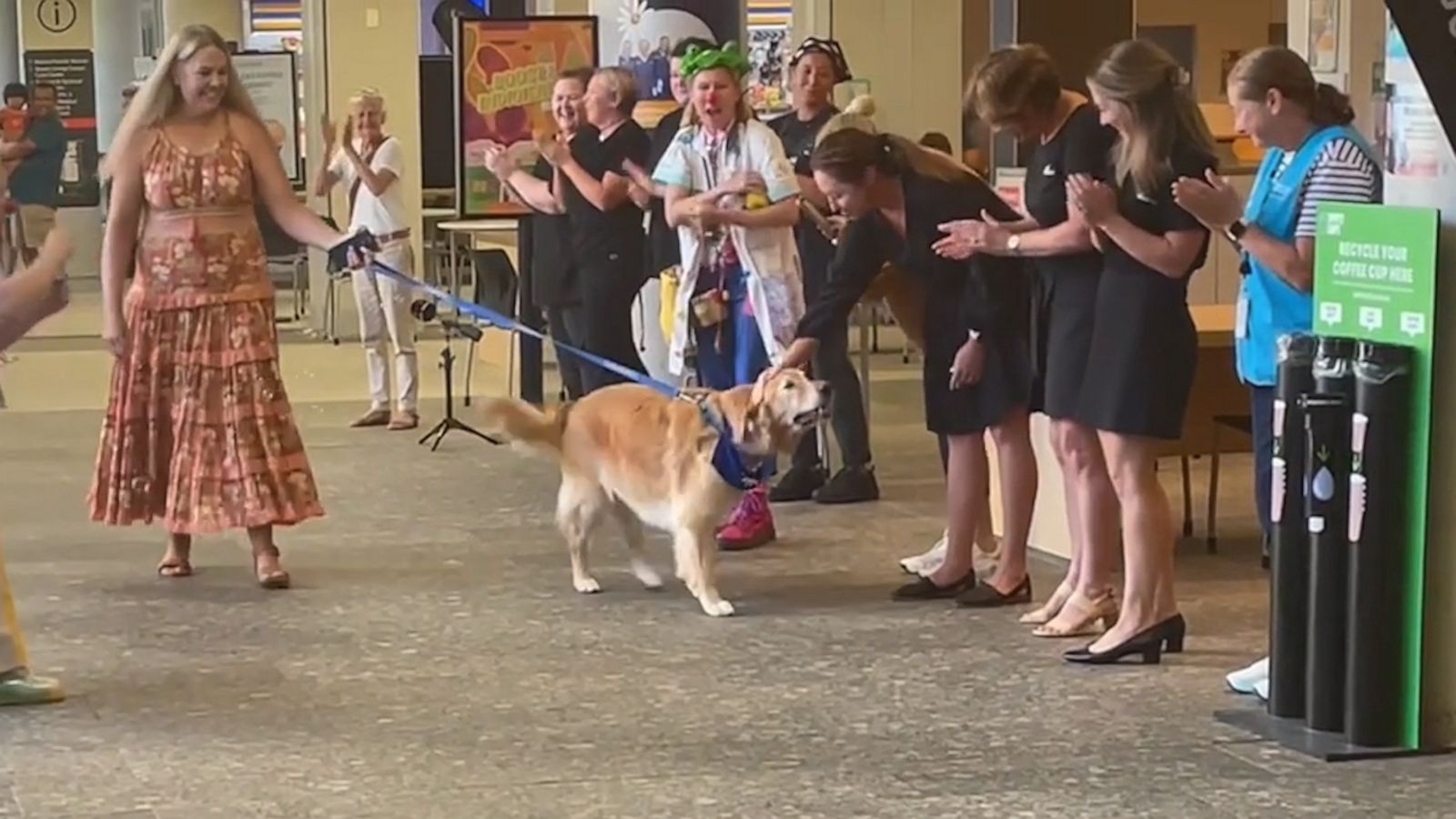 VIDEO: Retired therapy dog surprised with big farewell