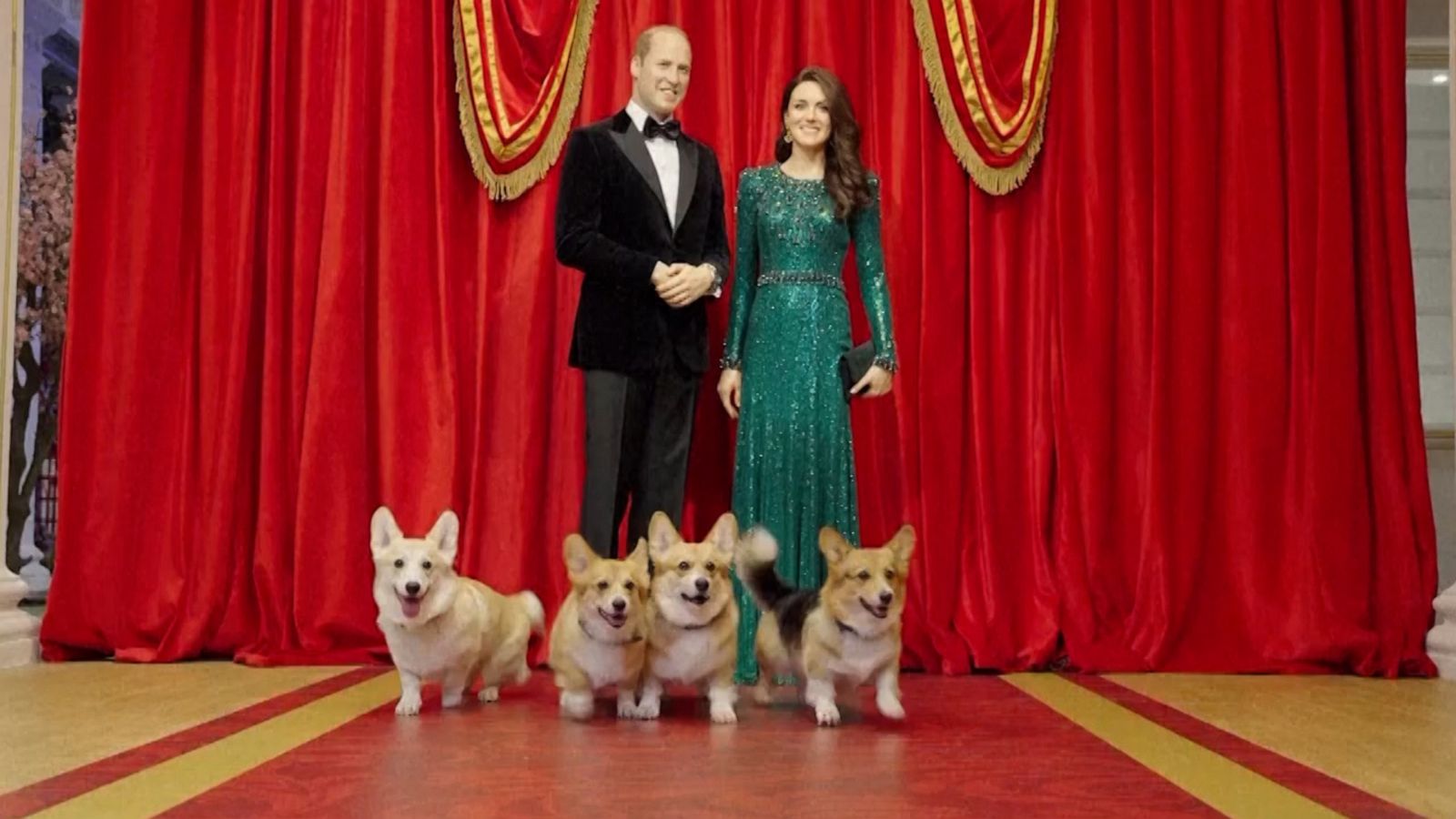 VIDEO: Corgis get VIP tour of Madame Tussauds’ new Royal Palace attraction