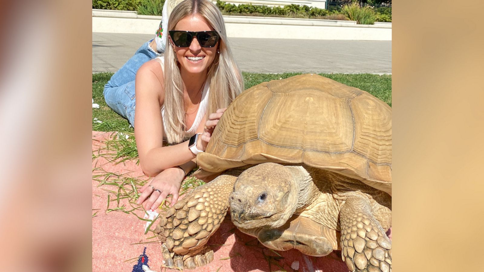 VIDEO: This is what it's like to have a tortoise as a pet