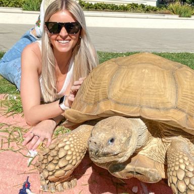 VIDEO: This is what it's like to have a tortoise as a pet