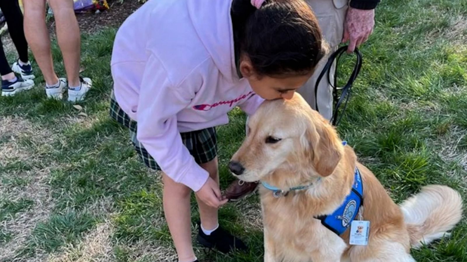 VIDEO: Comfort dogs support community after Nashville school shooting