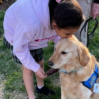 VIDEO: Comfort dogs support community after Nashville school shooting