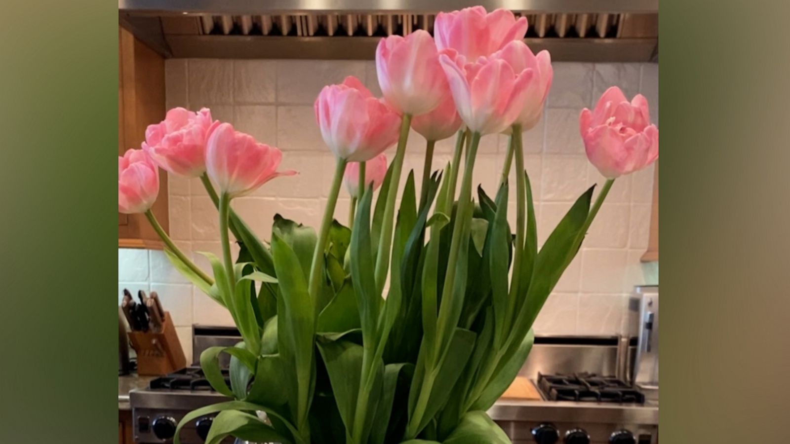 VIDEO: Use alcohol to keep your tulips standing tall