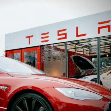 VIDEO: Tesla owner sues automaker, alleging privacy violation