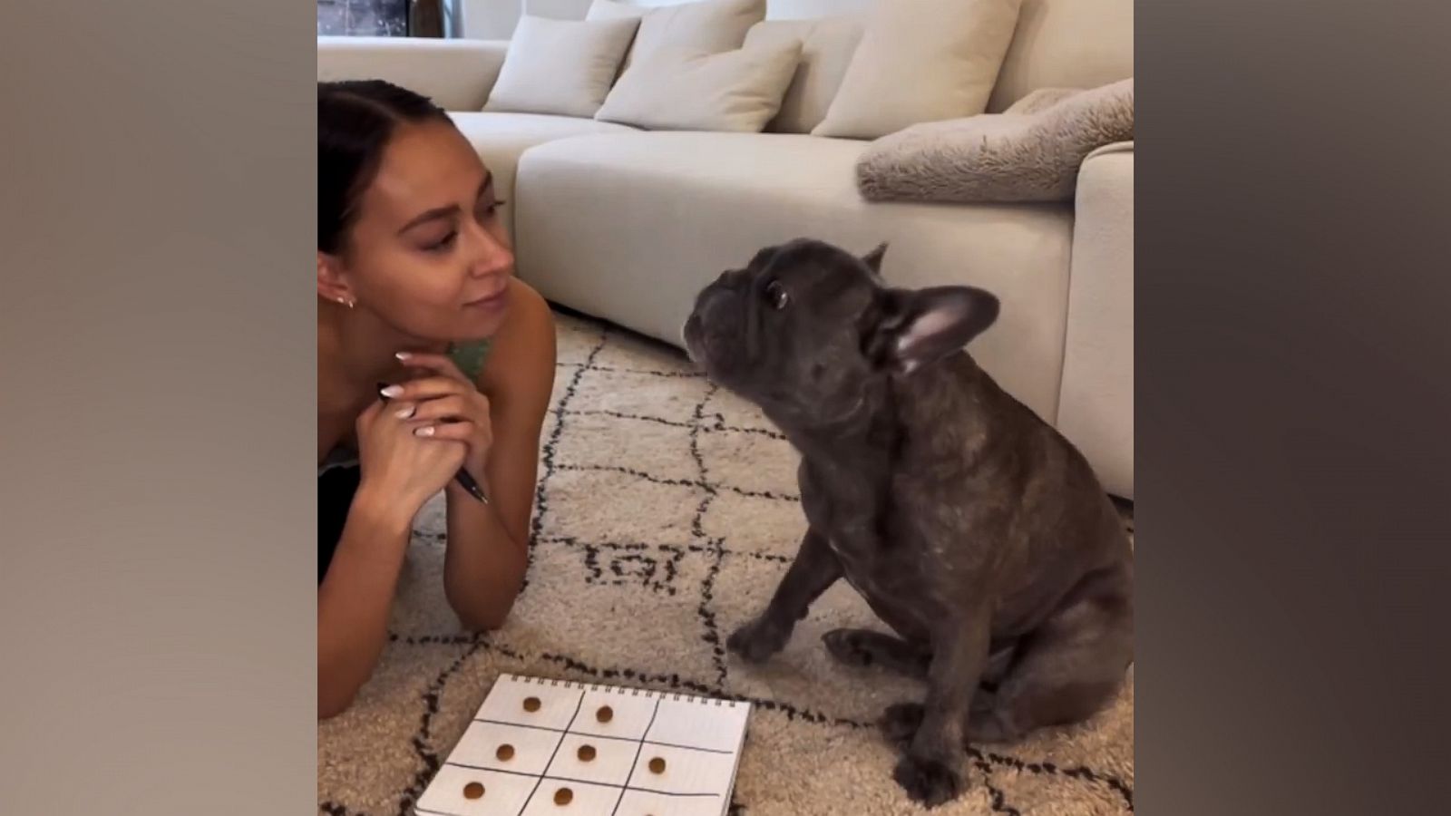 VIDEO: This French bulldog is 'pawfect' at tic-tac-toe