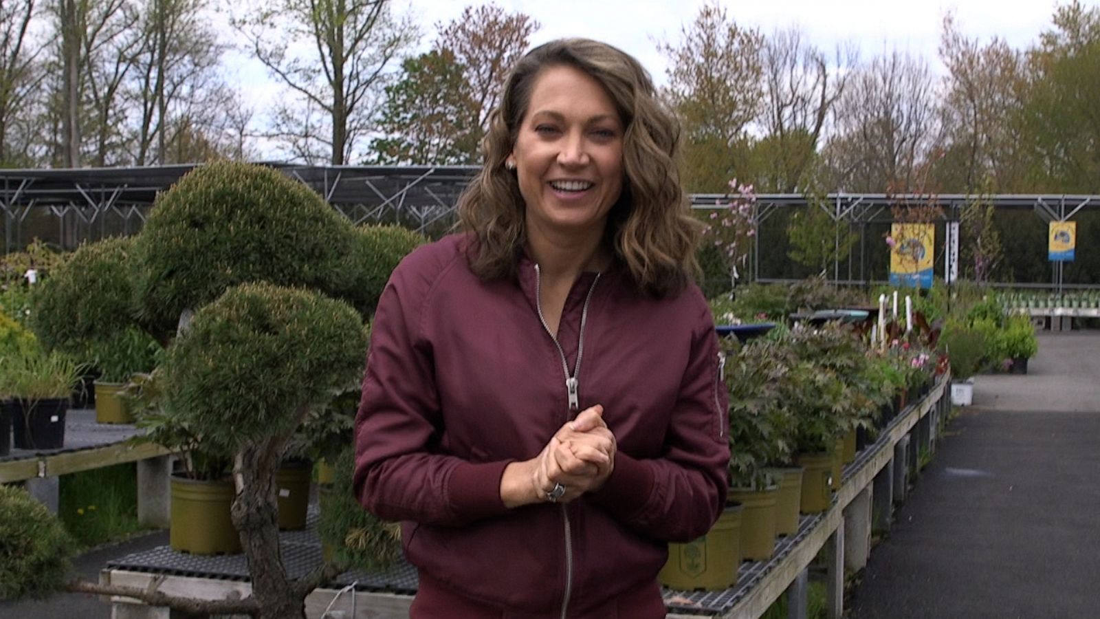 VIDEO: How to make your lawn more sustainable