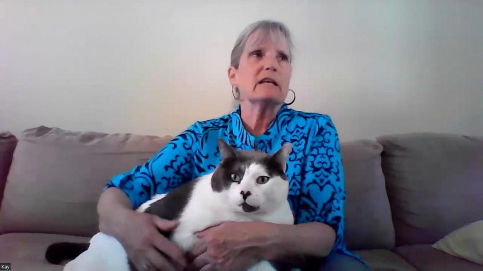 Video Largest Cat Finds Forever Home After Going Viral Abc News 