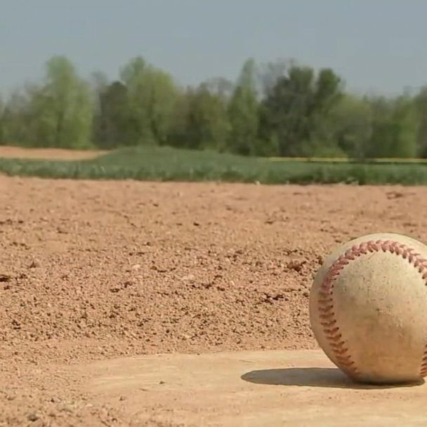 Why Did the Umpire Quit Little League? Nasty Parents - WSJ