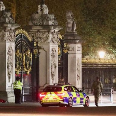 VIDEO: Man arrested outside Buckingham Palace