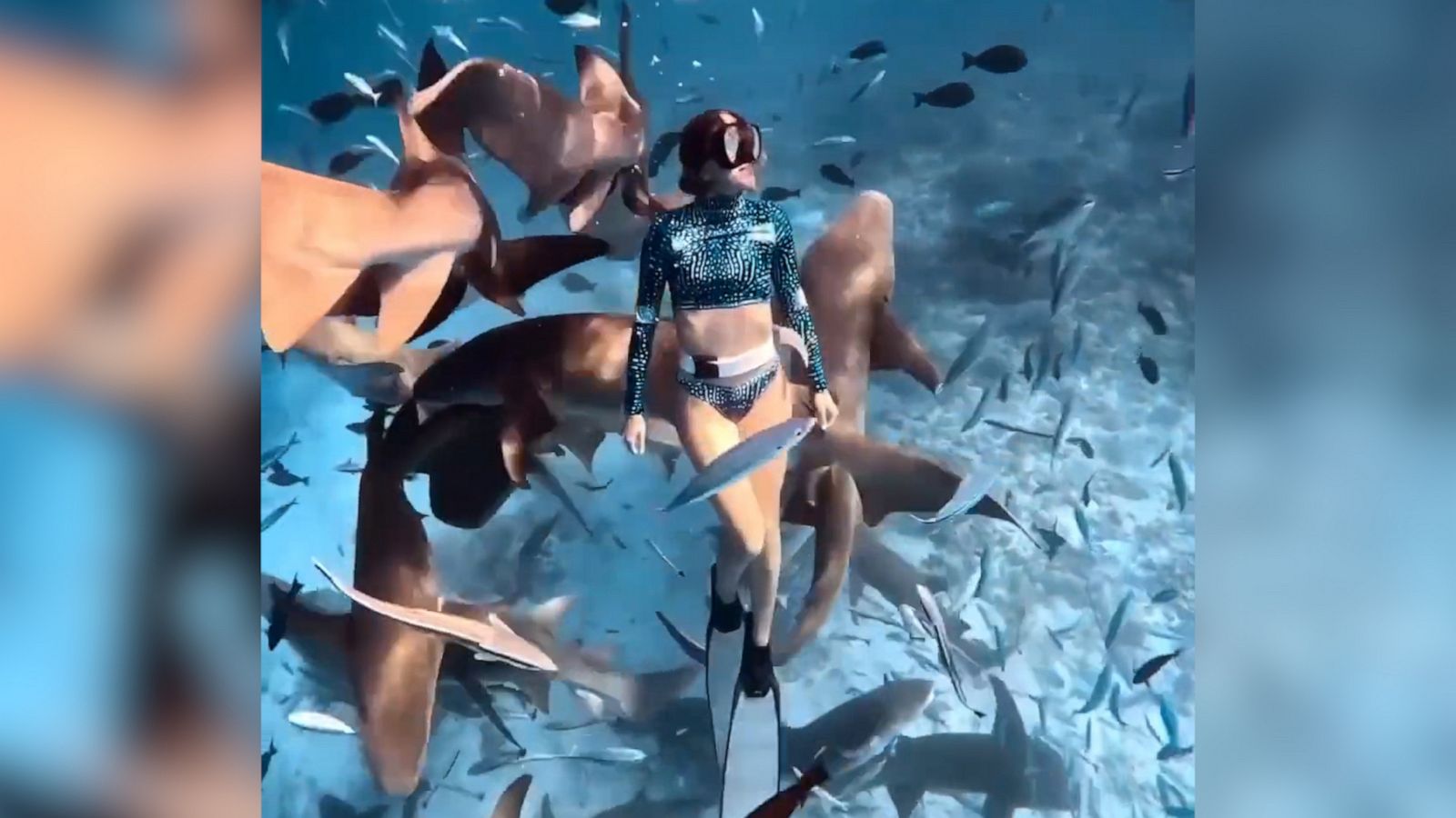 VIDEO: Woman shares peaceful dive with sharks and fish