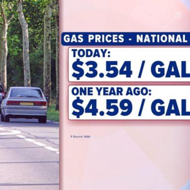 VIDEO: Gas price reality check for summer road trips