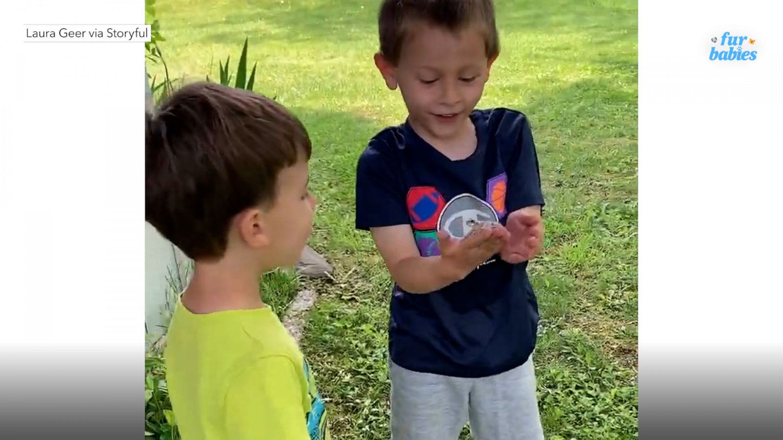 VIDEO: Kid finds frog in his backyard and loses his mind