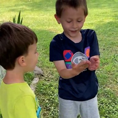 VIDEO: Kid finds frog in his backyard and loses his mind 