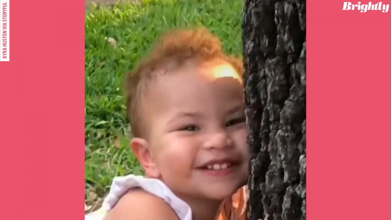 VIDEO: This TikTok toddler loves hugging trees