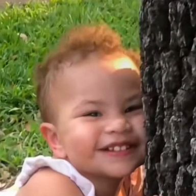 VIDEO: This TikTok toddler loves hugging trees