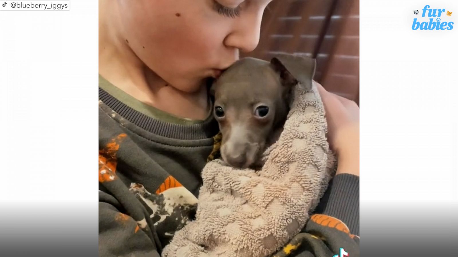 VIDEO: Kid comforts dog after bath