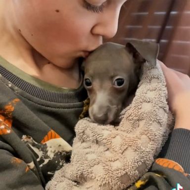 VIDEO: Kid comforts dog after bath