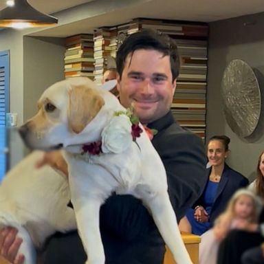 VIDEO: Groom and dog boogie to ABBA's 'Dancing Queen' at Philadelphia wedding