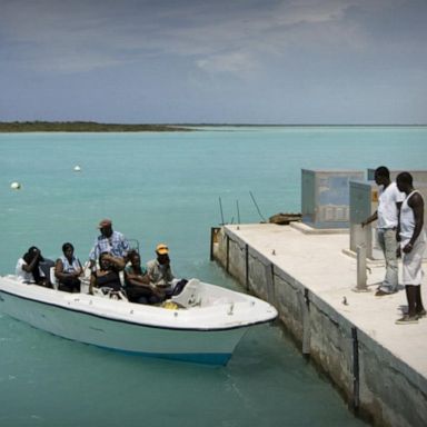 VIDEO: American woman bitten by shark in Turks and Caicos