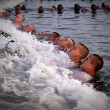 VIDEO: New Navy report details how problems mounted in Navy SEALs training