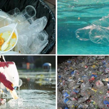 VIDEO: How to prevent plastics pollution