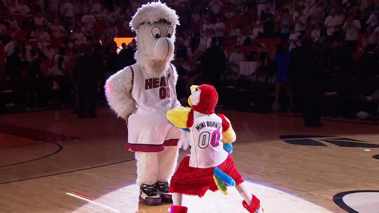 Teen has dance-off with Miami Heat mascot during NBA Finals