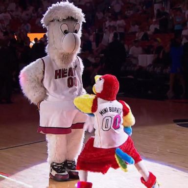 VIDEO: Teen has dance-off with Miami Heat mascot during NBA Finals