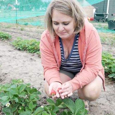 VIDEO: Housewife becomes successful berry farmer